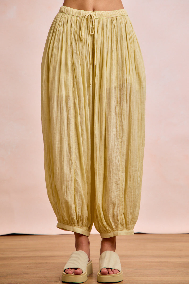 IB1883G-01_PALELEMON_5367313