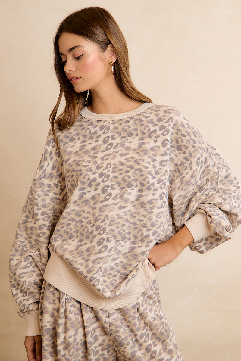 IT5494H-01_LEOPARD_5645510