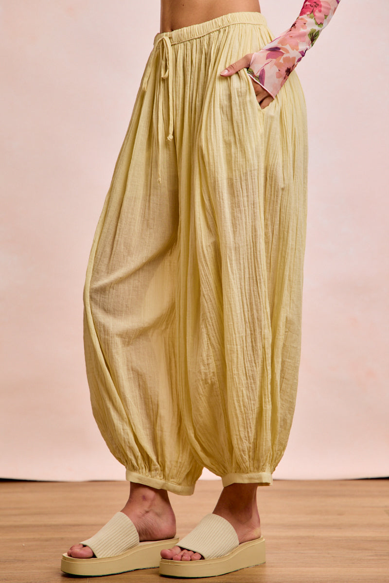 IB1883G-01_PALELEMON_5367311